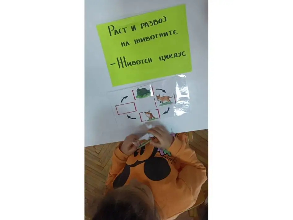 Со што се хранат животните?