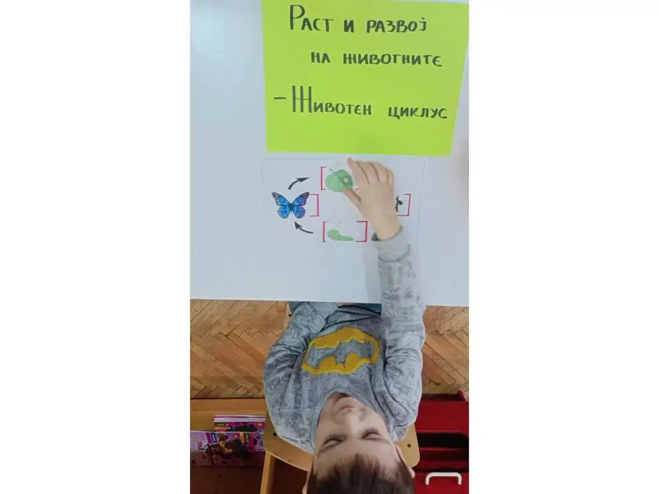 Со што се хранат животните?