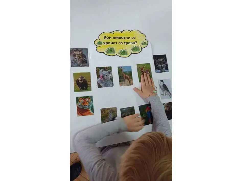 Со што се хранат животните?