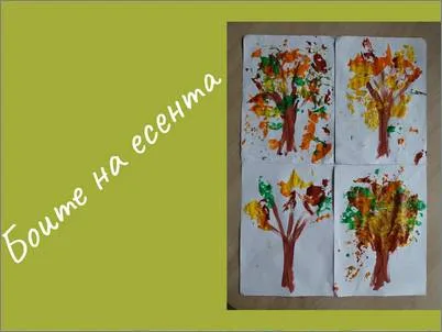 Boite na esenta 1