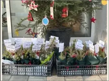 Зелен херој 30-12-2025 - слика 1