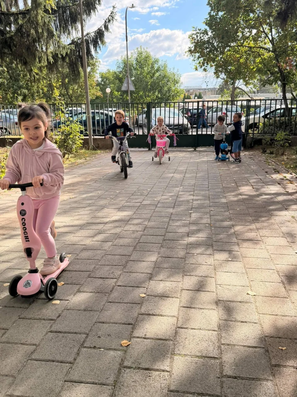 Меѓународен ден без автомобили
